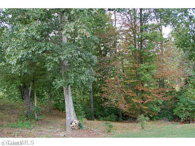 894 Hedgepath Terrace High Point, NC 27265 - Photo 16 of 16 Land/Lot.