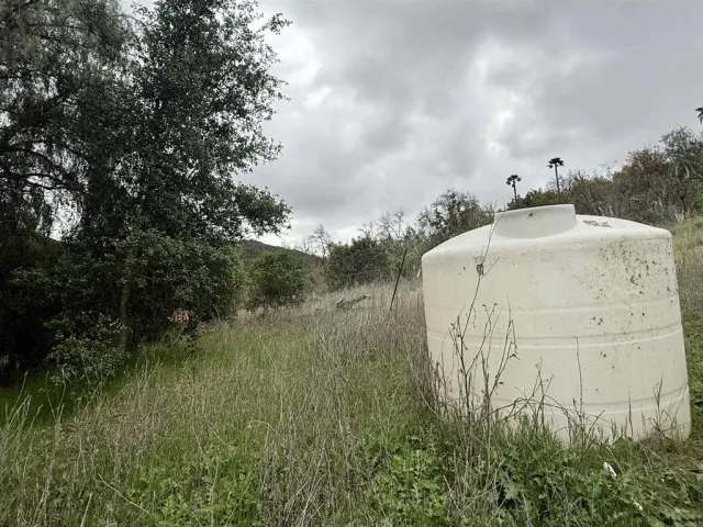 a view of a garden with a fountain