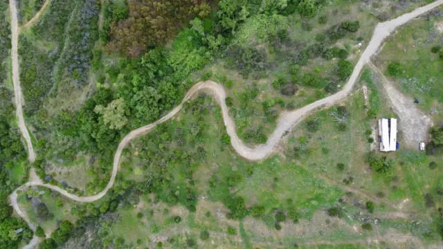 a view of a field of grass and trees