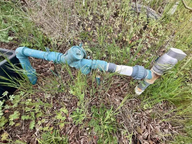 a view of a pathway both side of yard