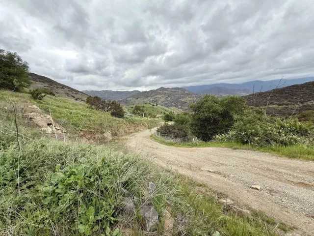 a fire hydrant in the middle of a forest