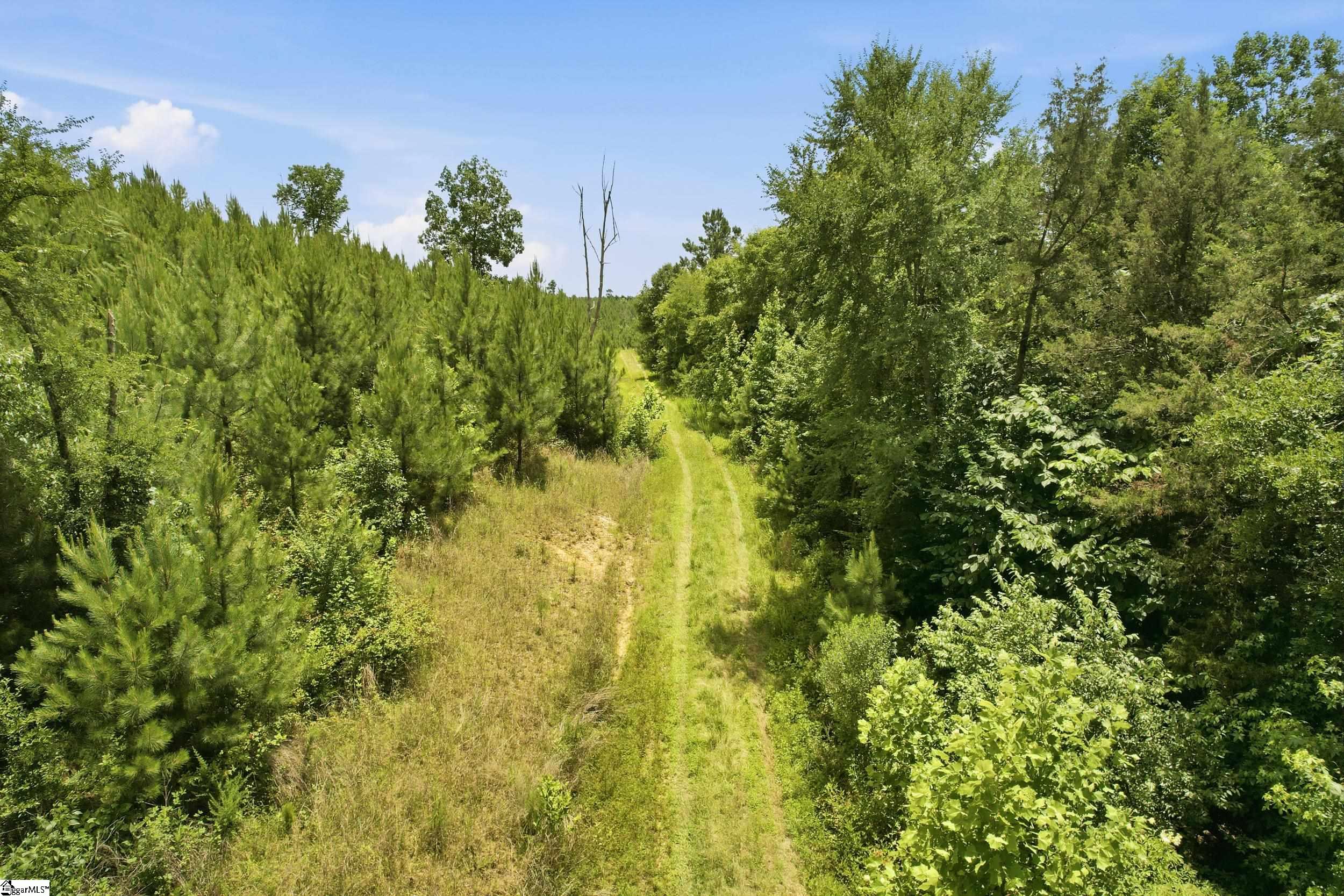 839 Duncan Creek Church Road Clinton, SC 29325 - Photo 2 of 50