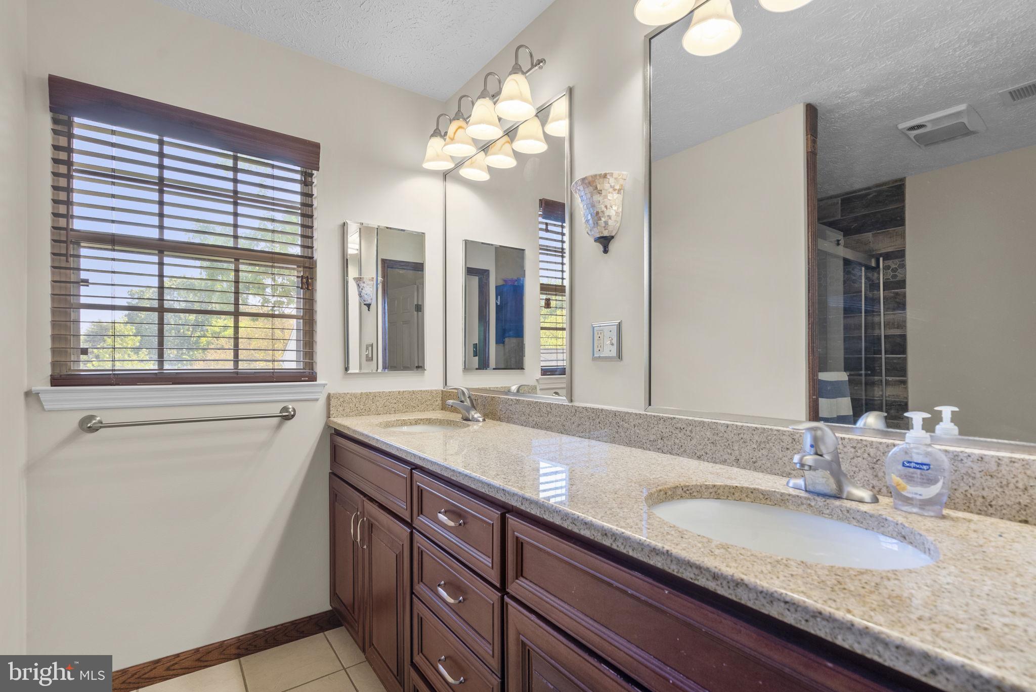 11645 Sun Cir Way Columbia, MD 21044 - Photo 23 of 44 primary bath