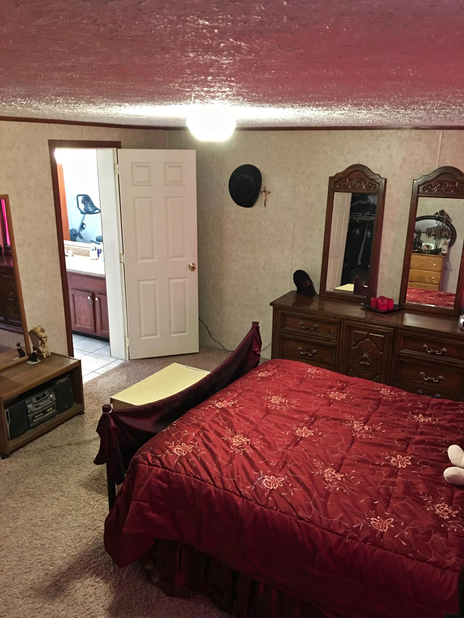 8811 Three Points Road Mascot, TN 37806 - Photo 14 of 28 Master Bedroom