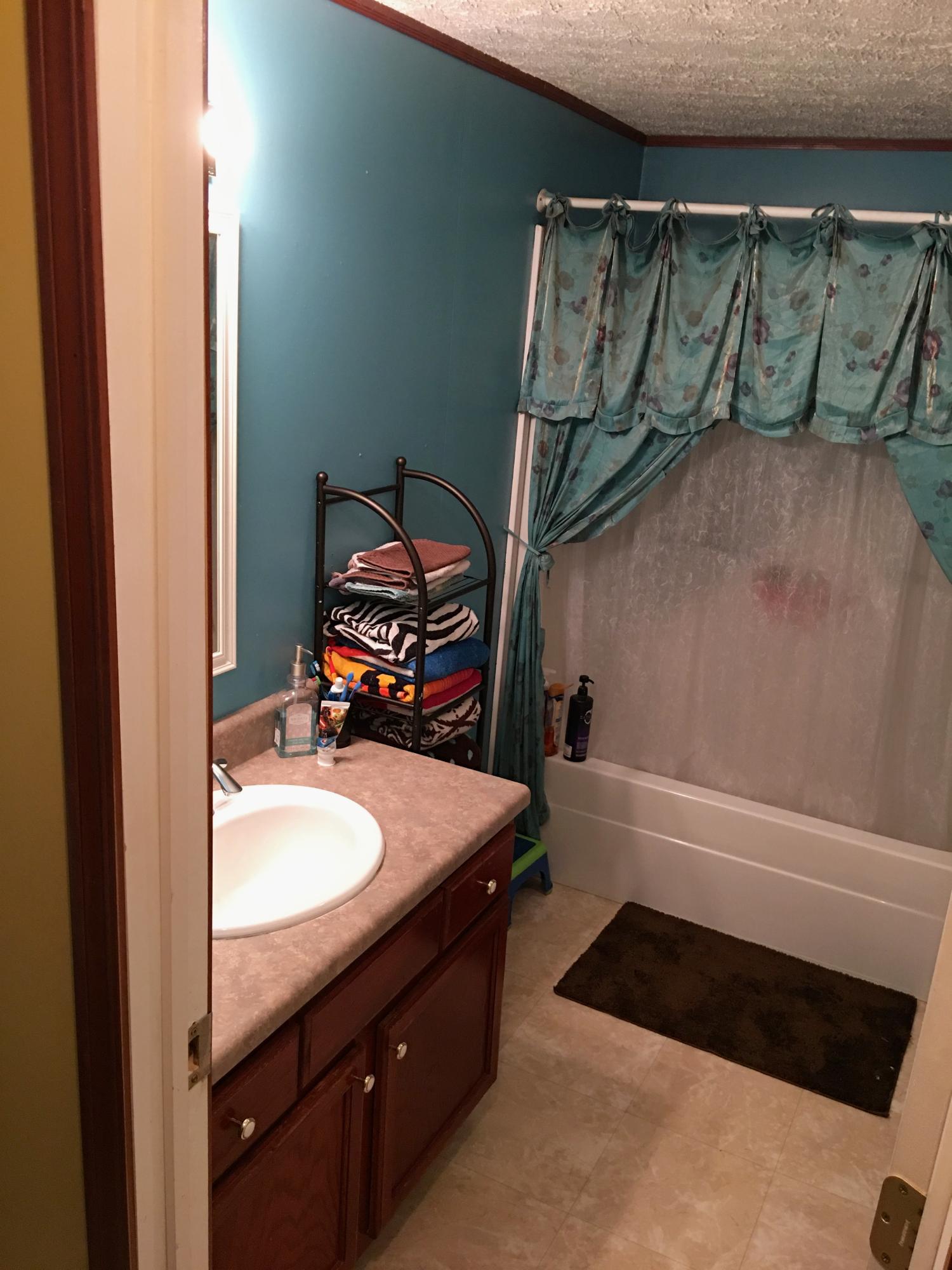8811 Three Points Road Mascot, TN 37806 - Photo 23 of 28 Guest Bathroom