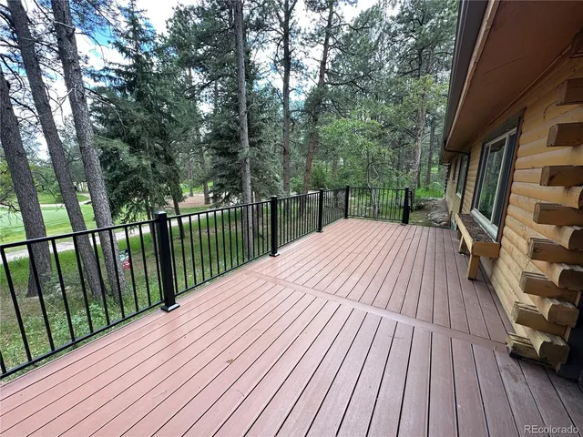 a view of a trees in a yard with a tree