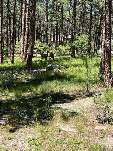 $3,095 | 615 Congressional Drive, Monument, CO 80132