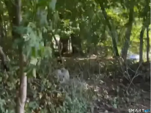 $20,000 | Lake Road, Watertown, CT 06795