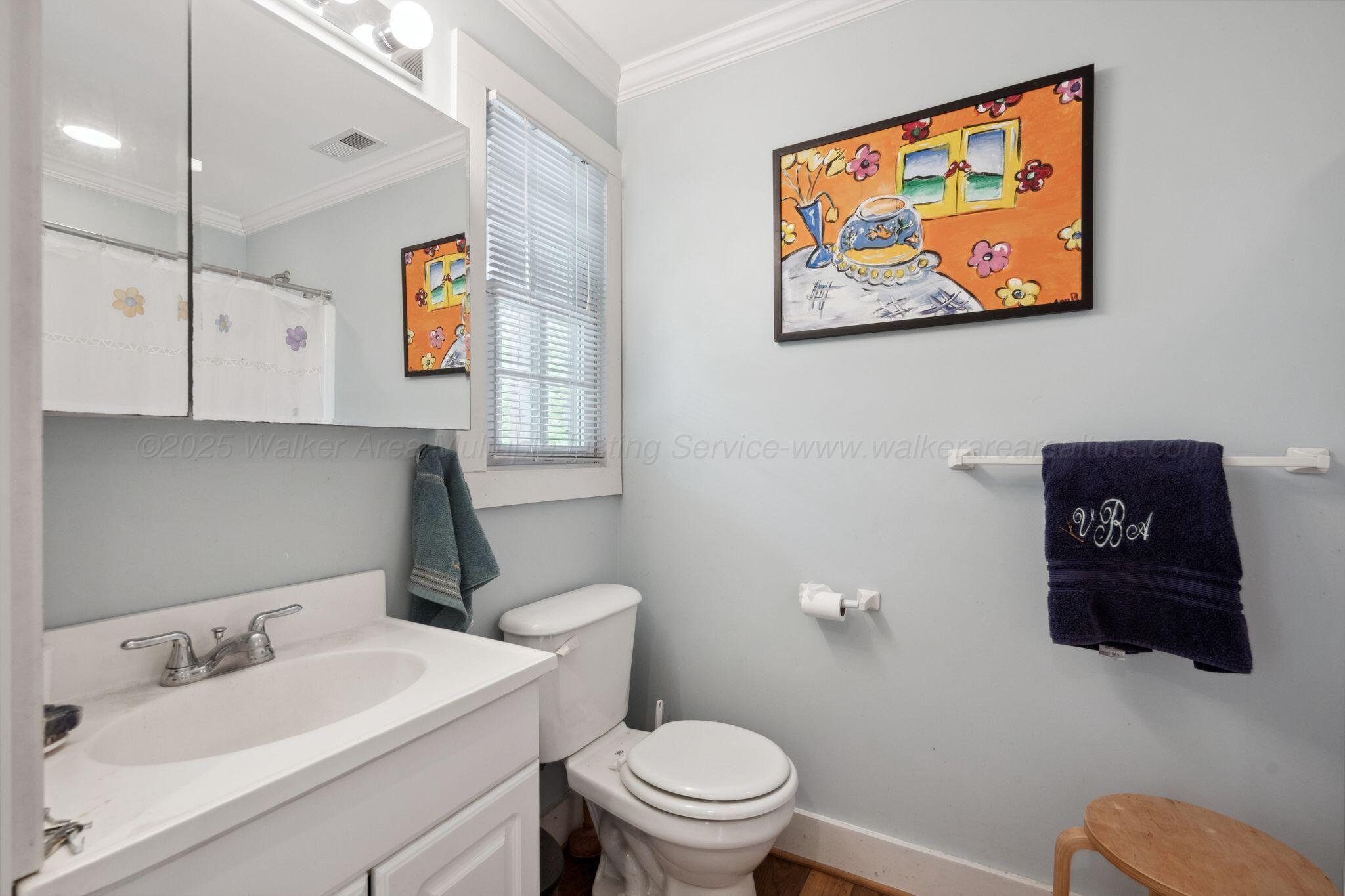 1617 South Stoney Road Double Springs, AL 35553 - Photo 30 of 43 Guest Bathroom