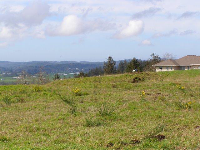 Lot 28 Skyview Road Tillamook, OR 97141 - Photo 3 of 15 P3180326.JPG