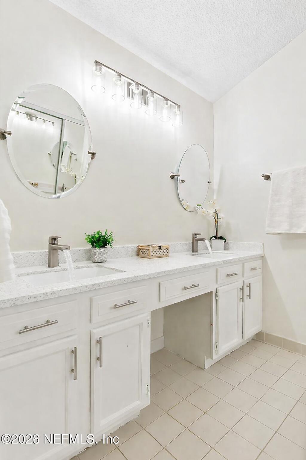 12223 Springmoor One Court Jacksonville, FL 32225 - Photo 19 of 29 a spacious bathroom with a double vanity sink mirror and