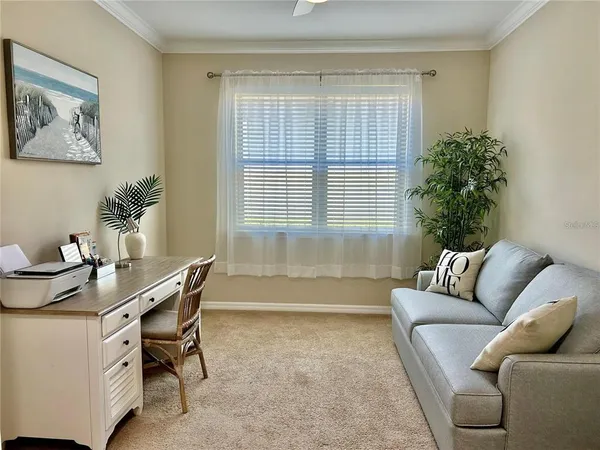 a living room with furniture and a potted plant
