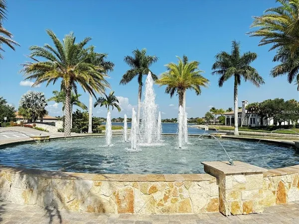 a view of a yard with palm trees