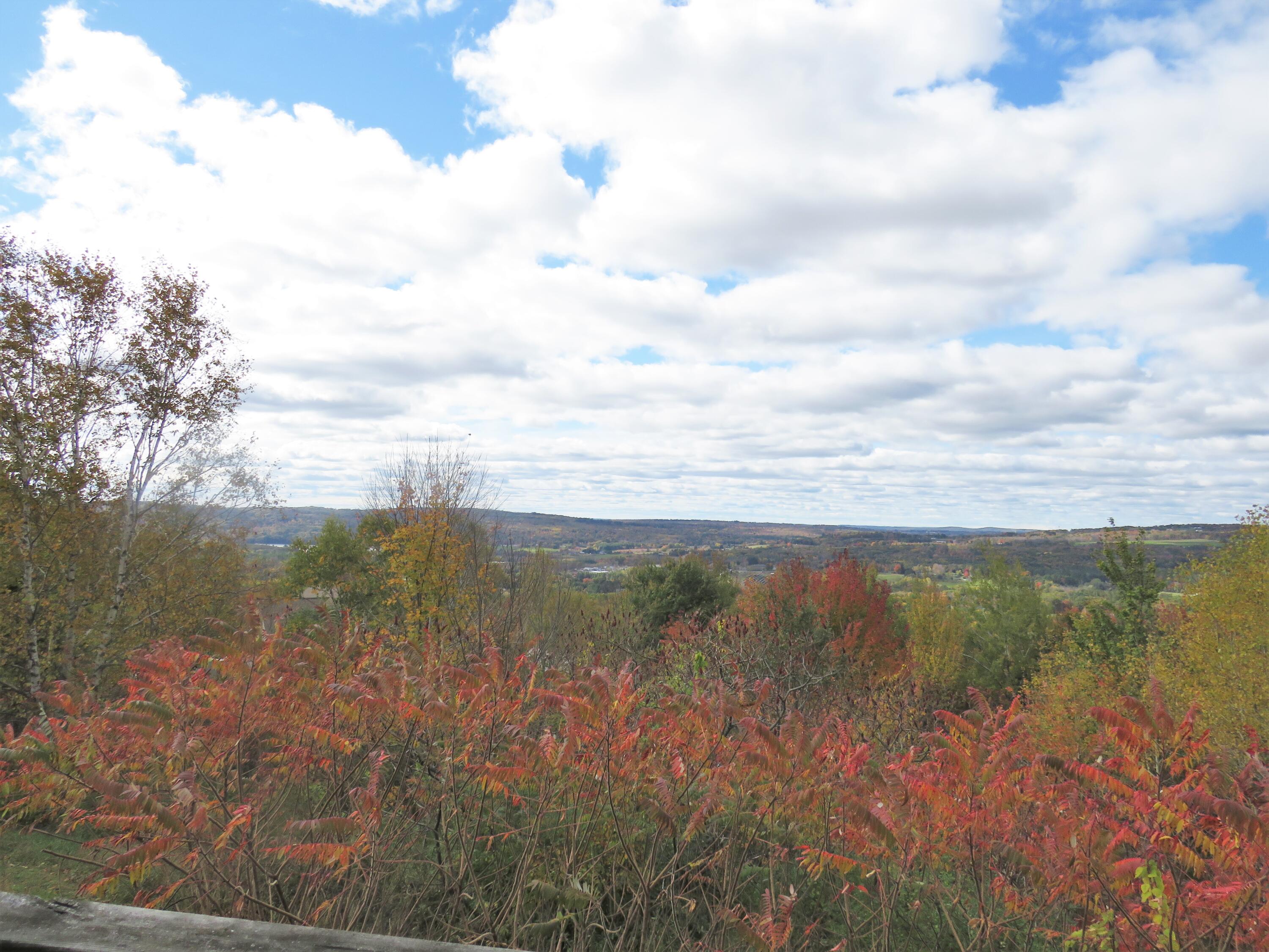 504 Barrett Hill Road Union, ME 04862 - Photo 51 of 54 IMG_5612