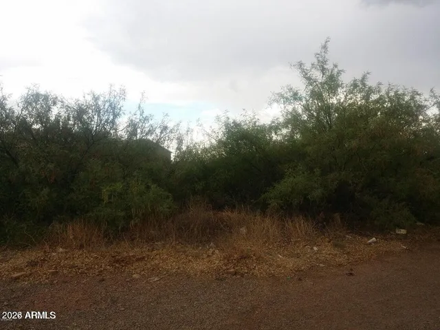 $250,000 | Xxxx Florida Avenue, Douglas, AZ 85607