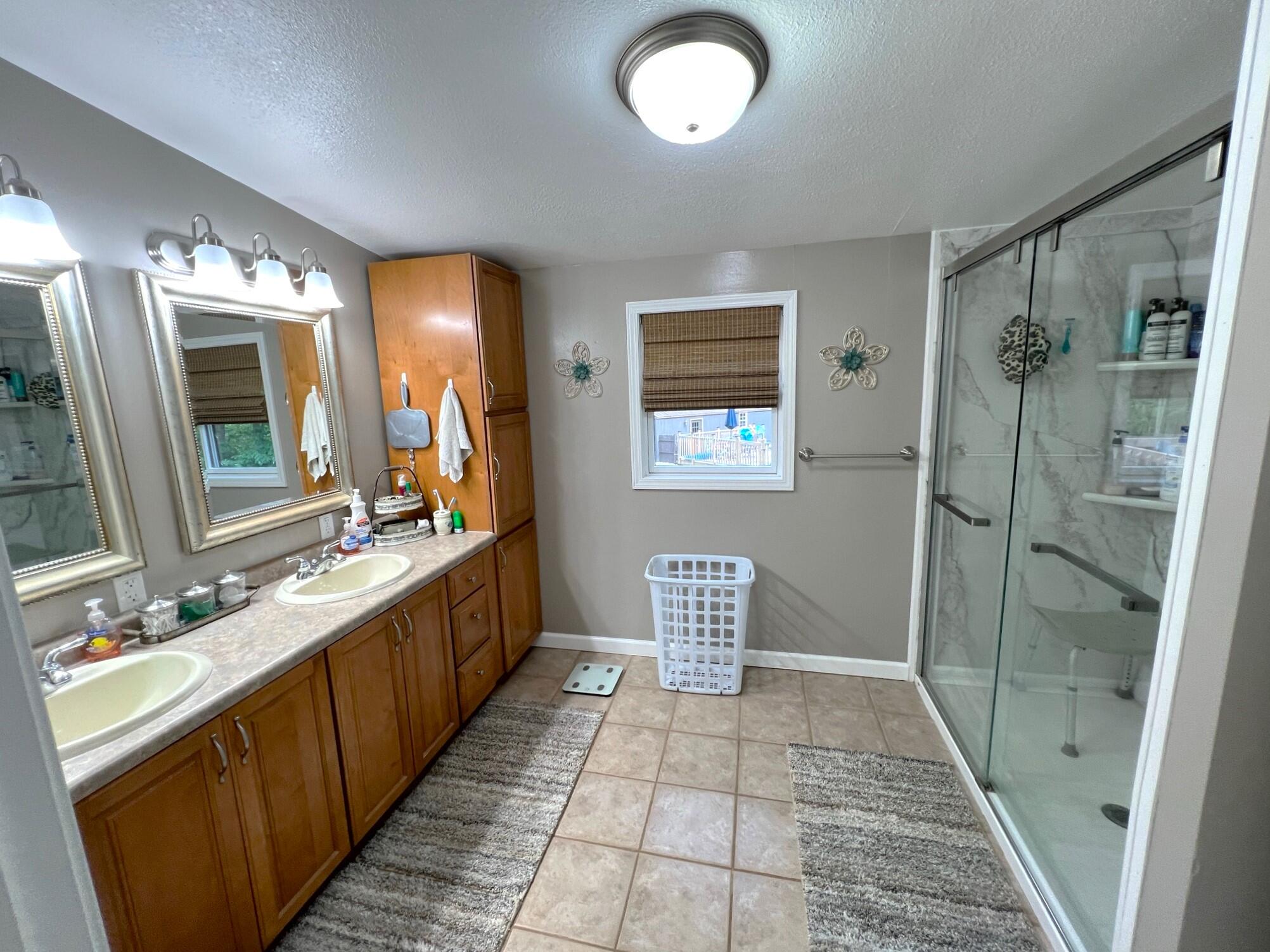 13153 Kinney Street Marcellus, MI 49067 - Photo 21 of 35 Primary Bathroom
