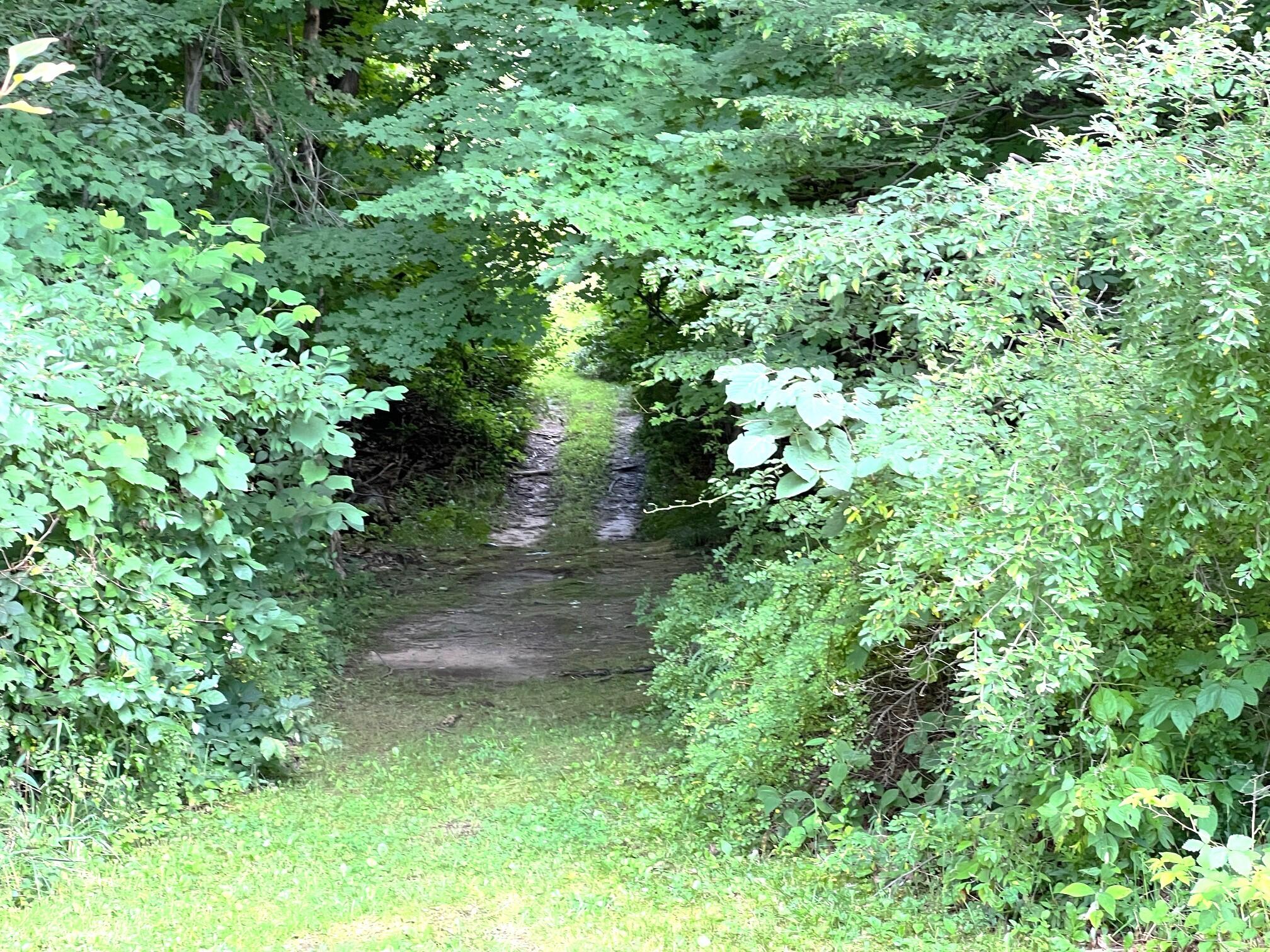 13153 Kinney Street Marcellus, MI 49067 - Photo 32 of 35 Land