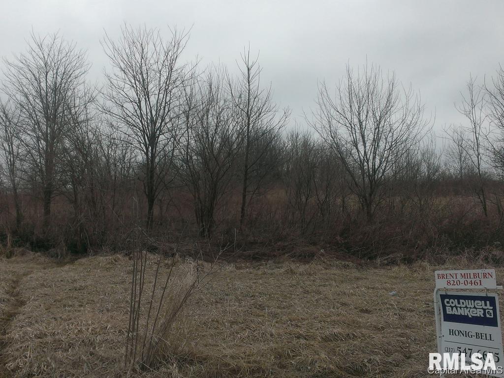 16000-block Darnell Road Buffalo, IL 62515 - Photo 1 of 5 Gallery Image 1
