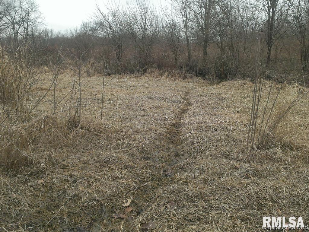 16000-block Darnell Road Buffalo, IL 62515 - Photo 3 of 5 Gallery Image 3