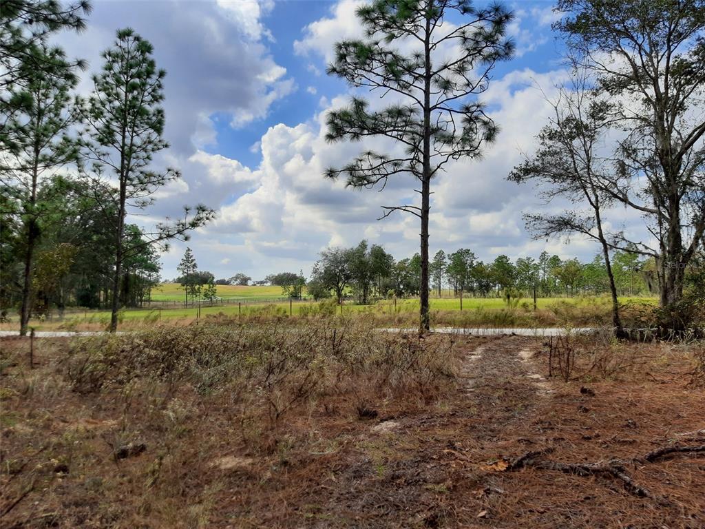 Southwest 209th Dunnellon, FL 34431 - Photo 1 of 1 Gallery Image 1
