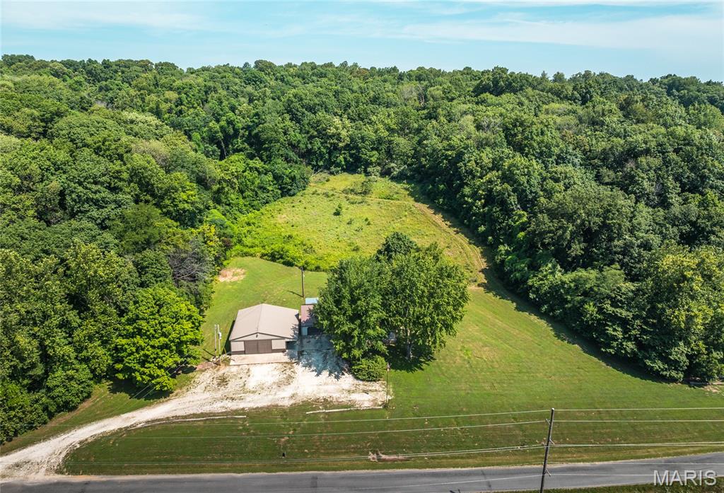 388 Spankey Road Eldred, IL 62027 - Photo 4 of 33