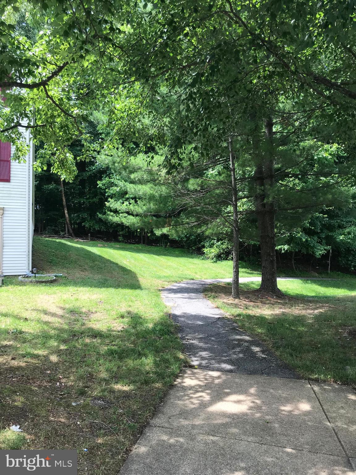 8501 Ritchboro Road District Heights, MD 20747 - Photo 17 of 17 a view of a yard with a tree
