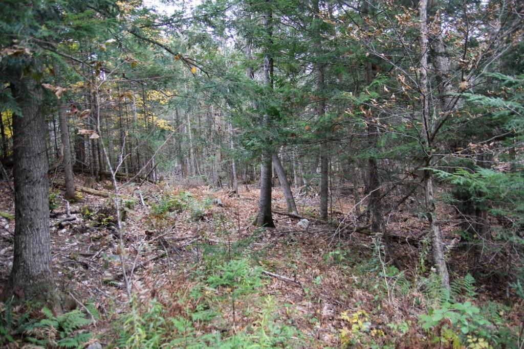 Lot 2-1 Whitaker Road Troy, ME 04987 - Photo 14 of 18 Photo