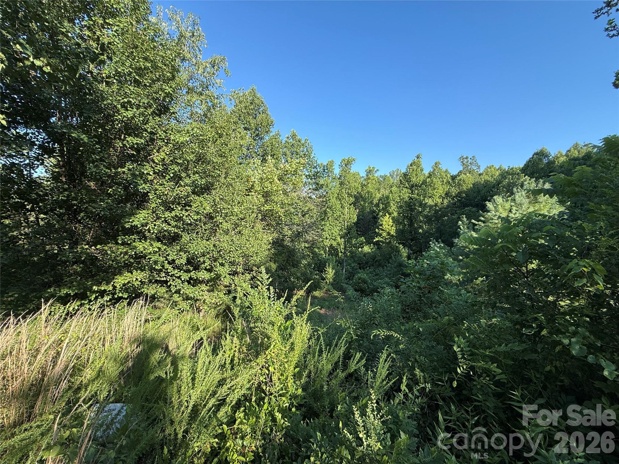 3028 Playmore Beach Road Morganton, NC 28655 - Photo 29 of 30