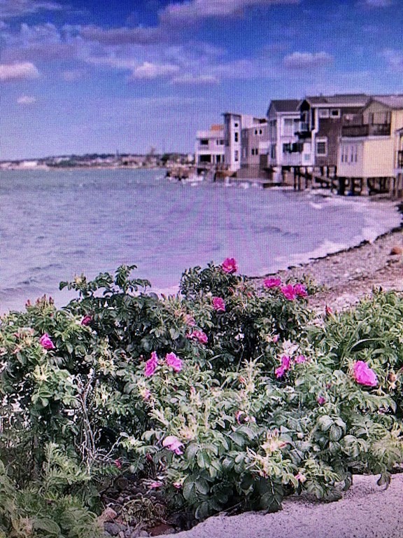 20 Castle Road Nahant, MA 01908 - Photo 18 of 19 Gallery Image 18