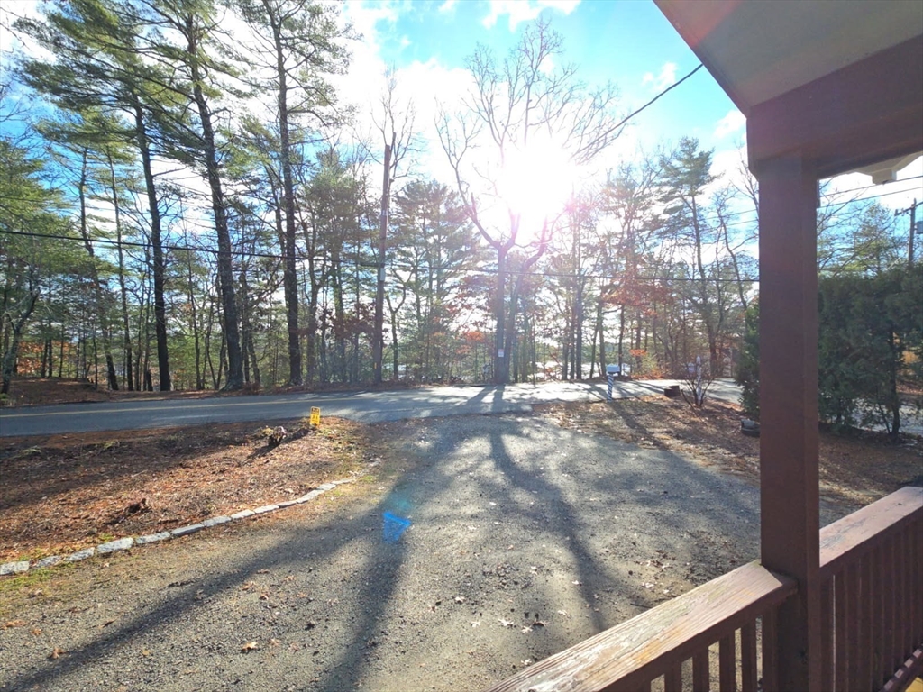 a view of a yard with trees in the background