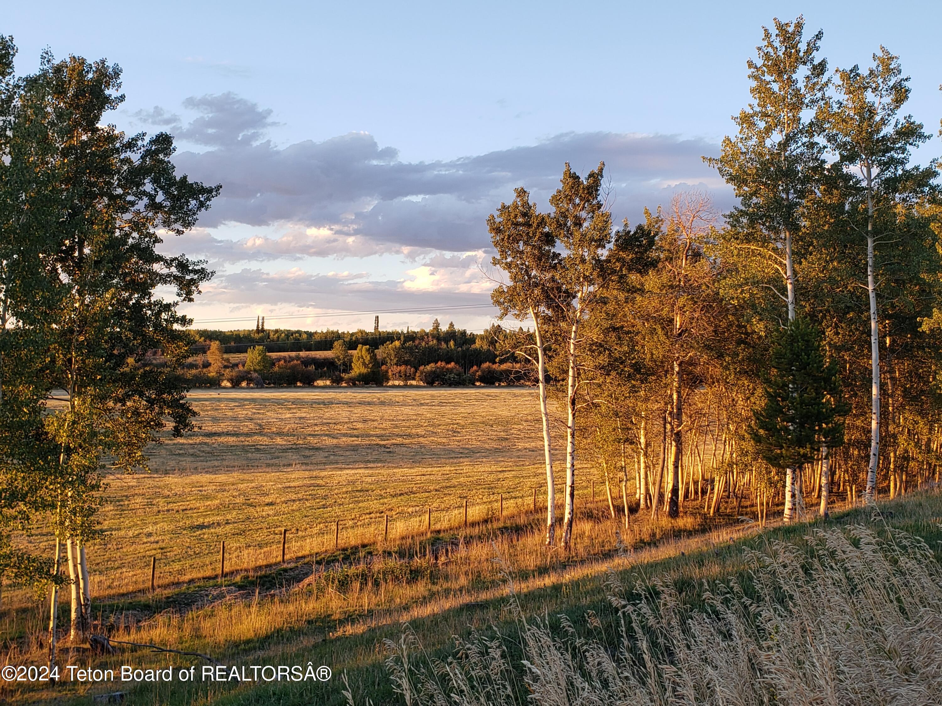 465 East Rigby Road Alta, WY 83414 - Photo 84 of 85 Sunset on field