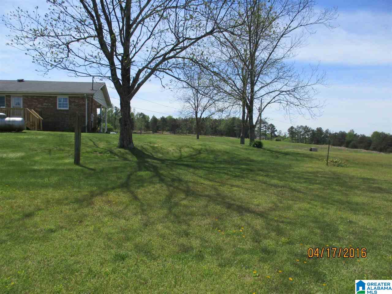 2253 Cliff Springs Road Oneonta, AL 35121 - Photo 39 of 50 Gallery Image 39