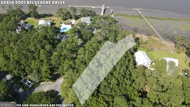 $225,000 | Lot 1 Belvedere Drive, Townsend, GA 31331