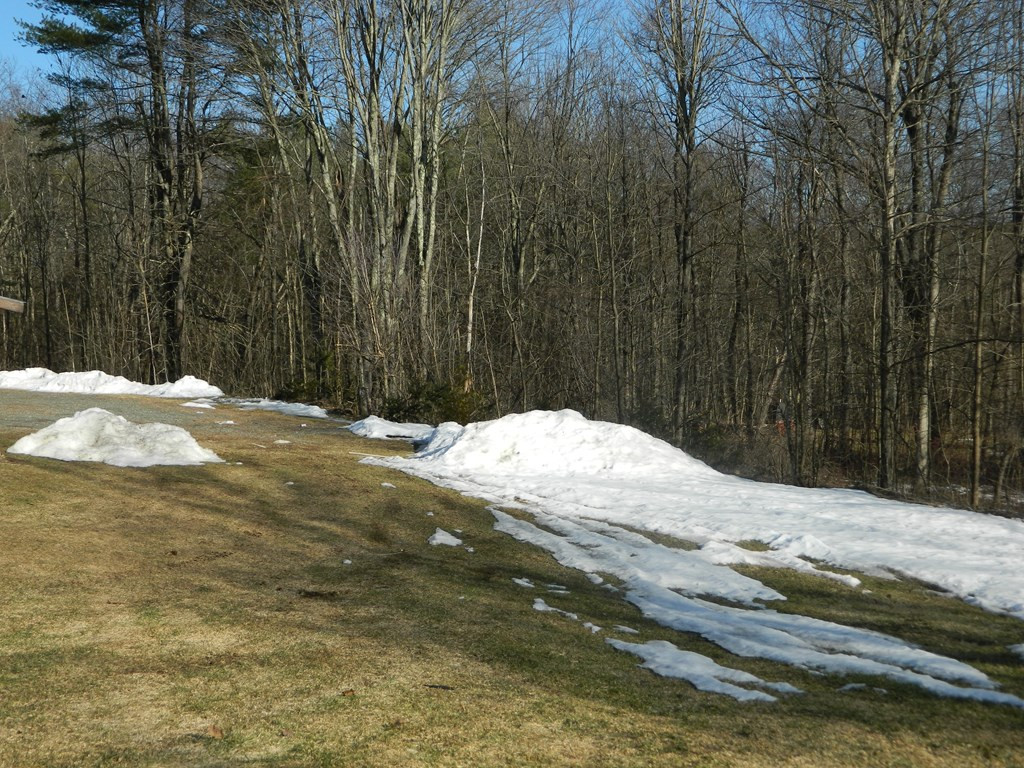 27 Moss Road Lewis, NY 12950 - Photo 26 of 32 Gallery Image 26