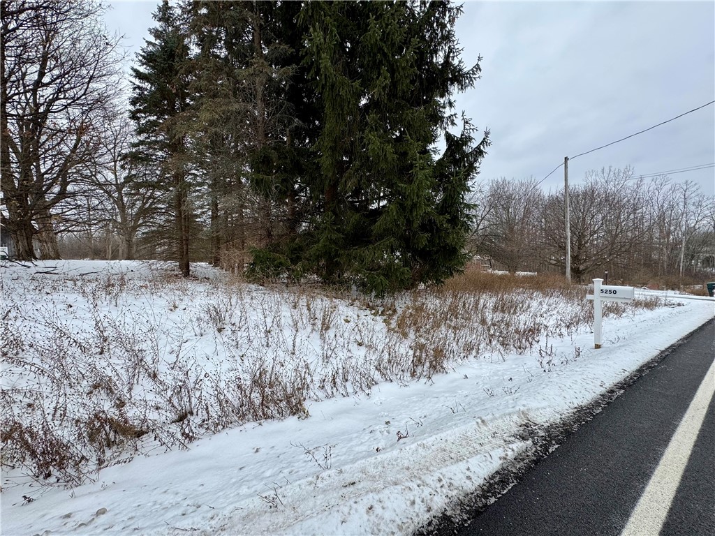 Nott Road Canandaigua, NY 14424 - Photo 1 of 1