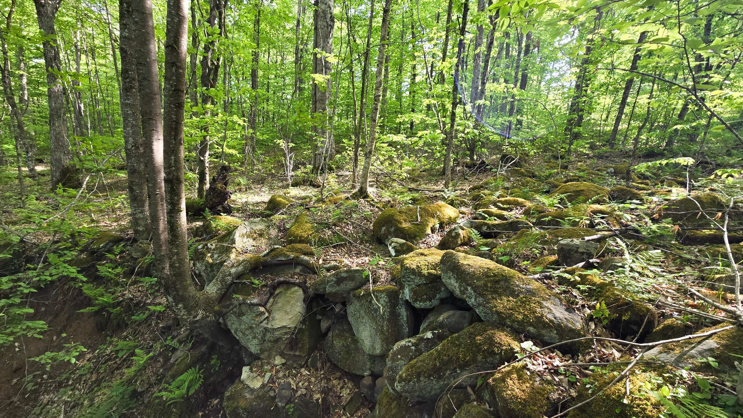 Lot 14 Roberts Ridge Valley Head, WV 26294 - Photo 7 of 12 Gallery Image 7