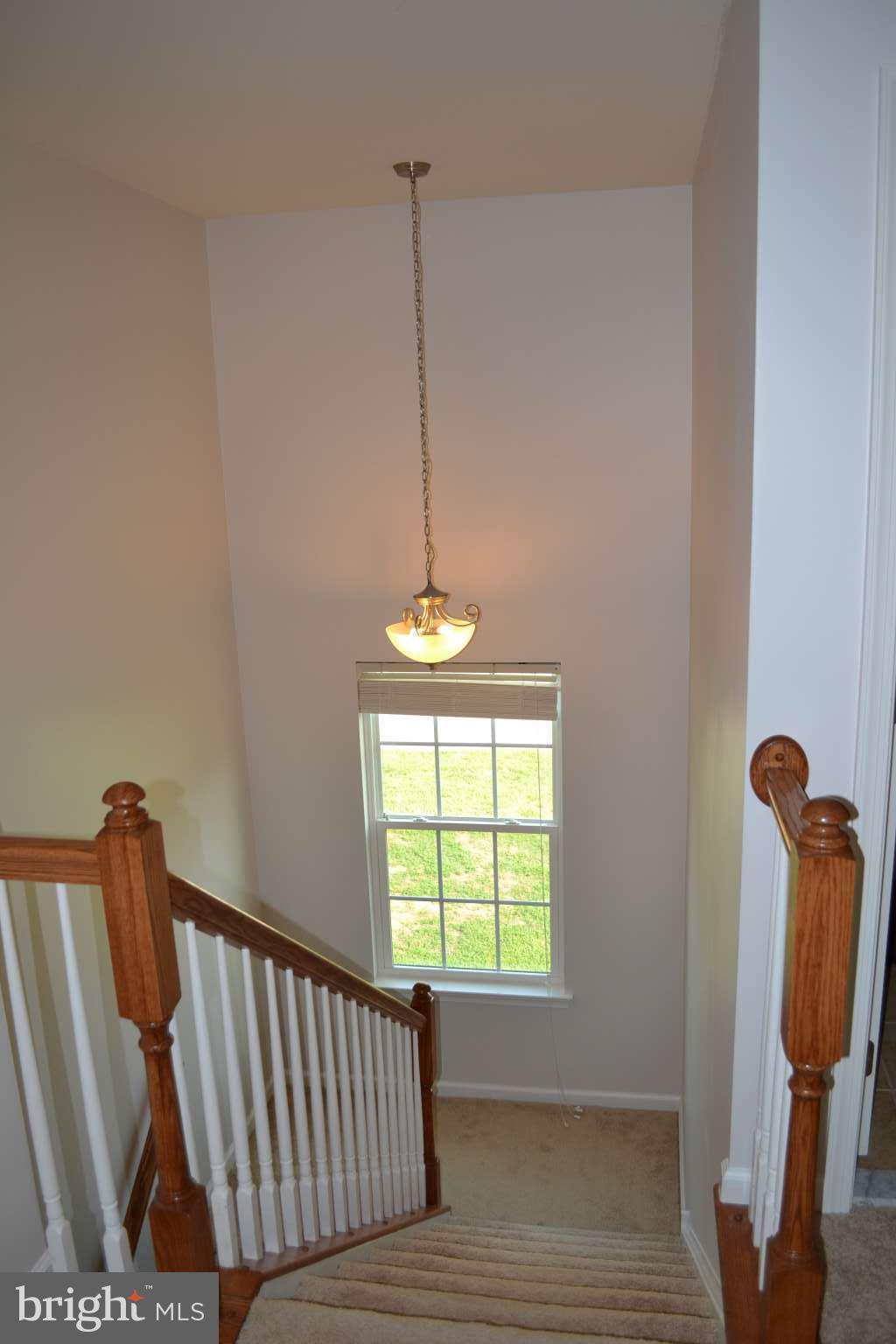 29 Loganberry Terrace Dover, DE 19901 - Photo 12 of 22