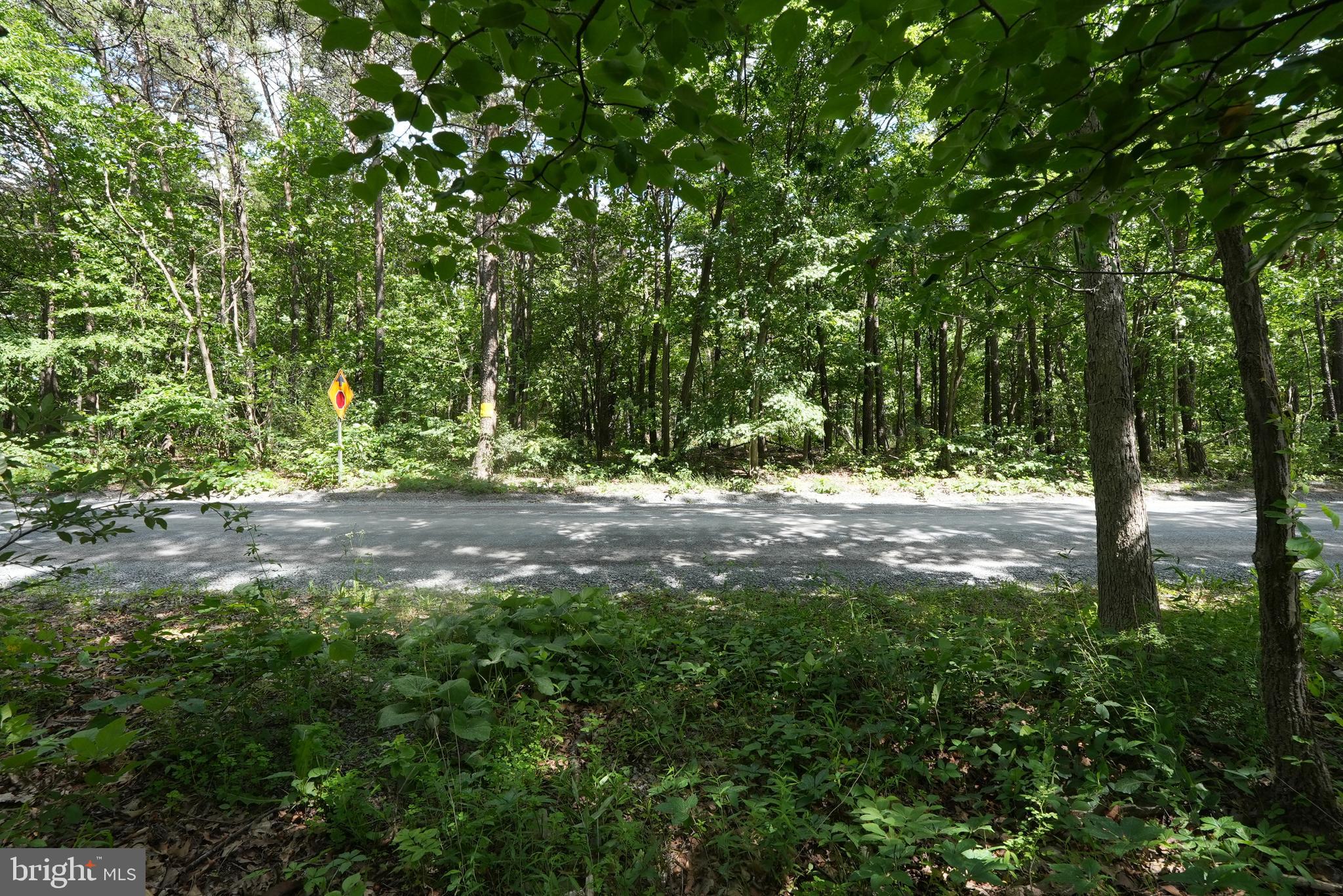 1917 South Timber Ridge Road Cross Junction, VA 22625 - Photo 3 of 19