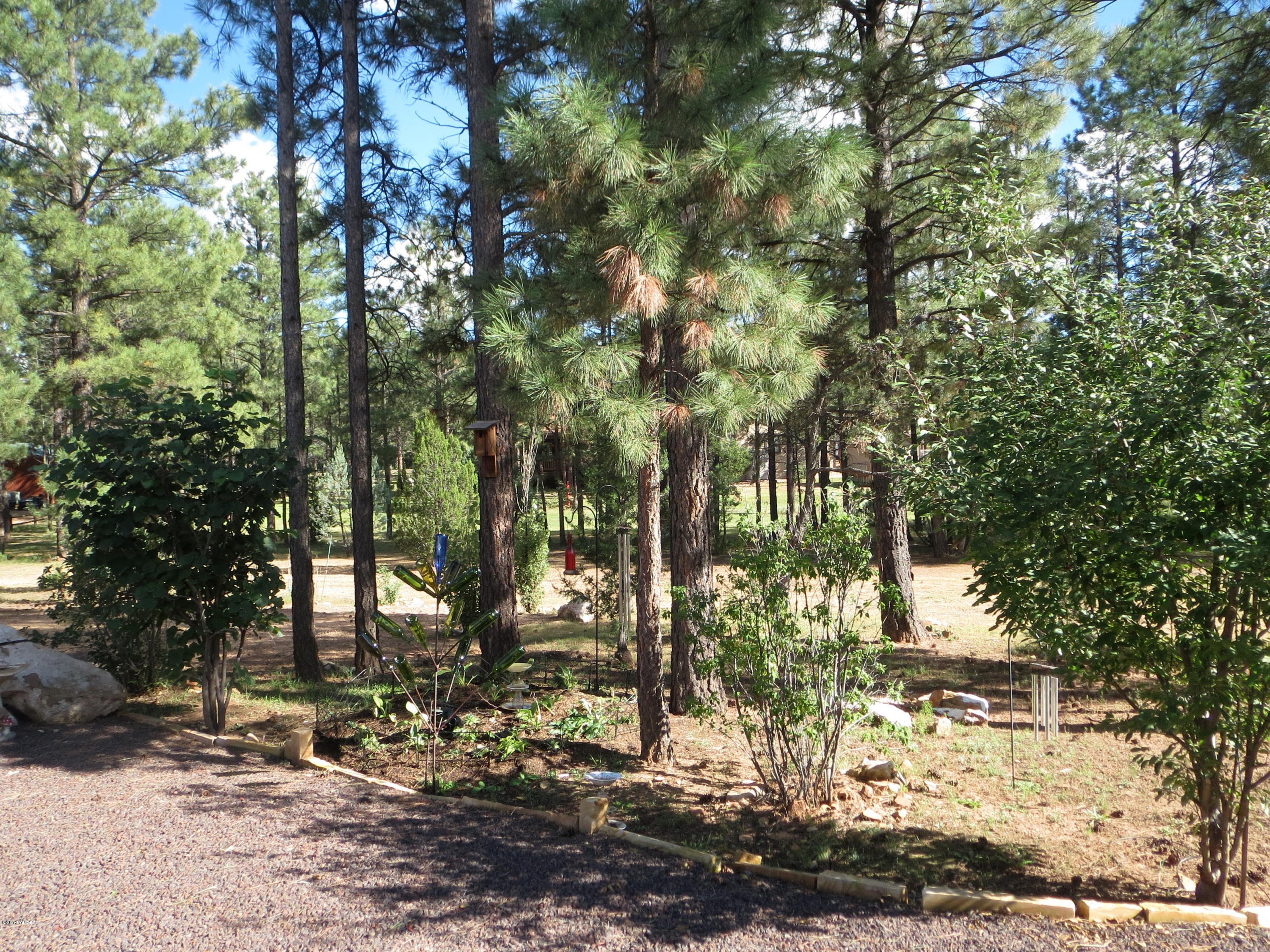 2205 Chevelon Road Overgaard, AZ 85933 - Photo 27 of 29 IMG_0418