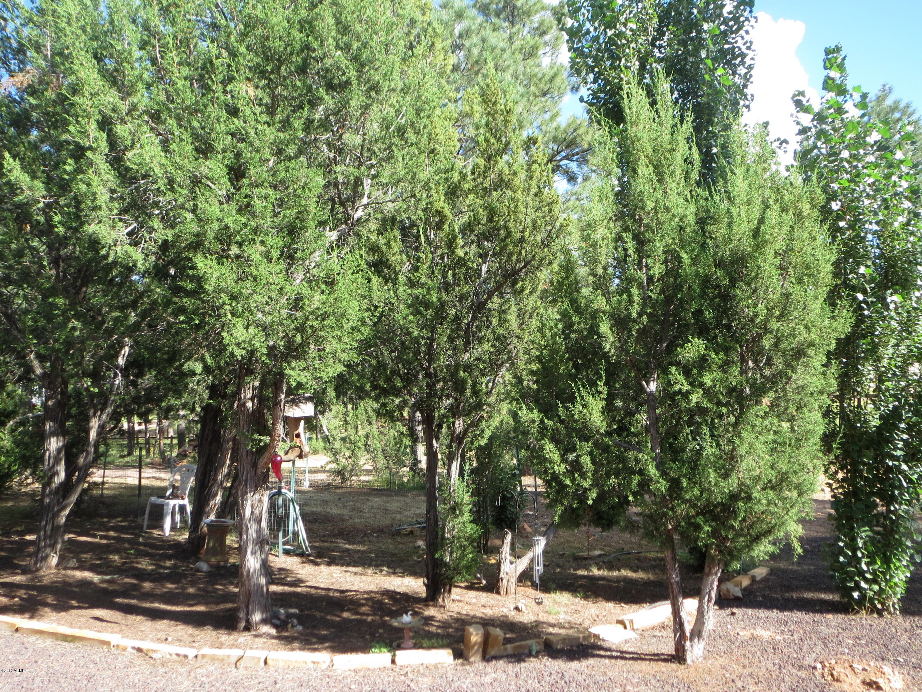 2205 Chevelon Road Overgaard, AZ 85933 - Photo 28 of 29 IMG_0417