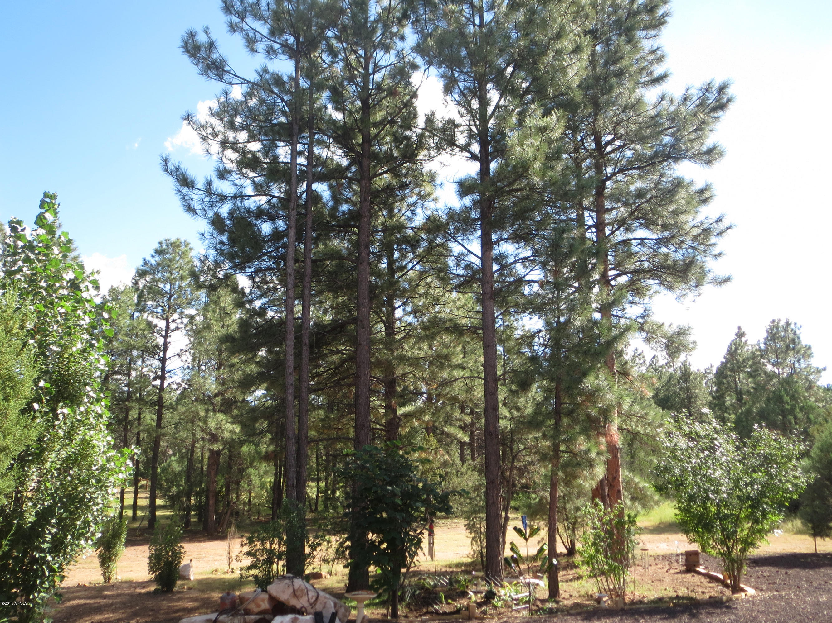 2205 Chevelon Road Overgaard, AZ 85933 - Photo 29 of 29 IMG_0421
