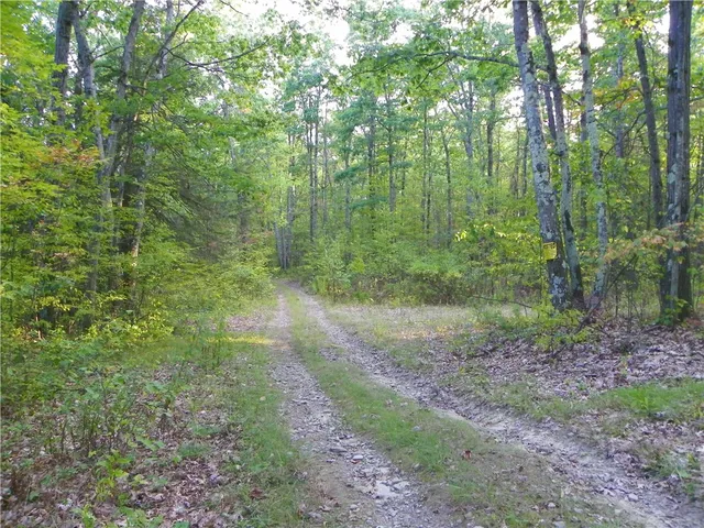 $20,000 | 0 Hickory Hill Road, Bath, NY 14810