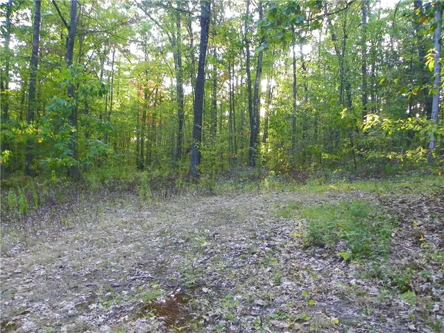 $20,000 | 0 Hickory Hill Road, Bath, NY 14810