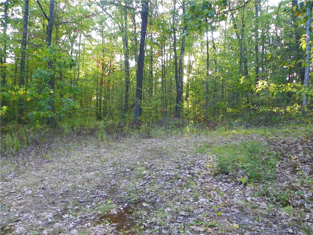 0 Hickory Hill Road Bath, NY 14810 - Photo 2 of 7