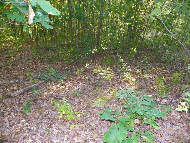 $20,000 | 0 Hickory Hill Road, Bath, NY 14810