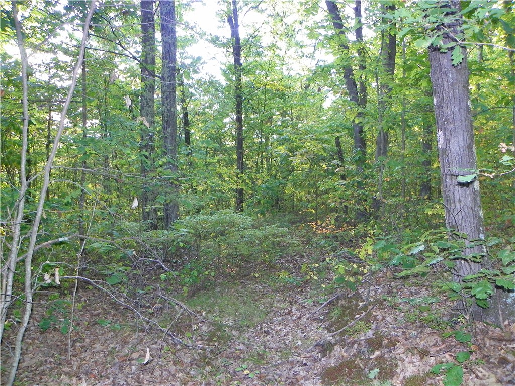 0 Hickory Hill Road Bath, NY 14810 - Photo 4 of 7