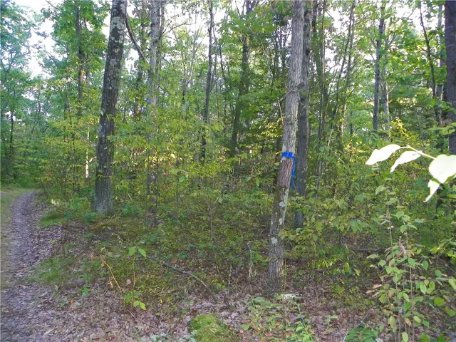 $20,000 | 0 Hickory Hill Road, Bath, NY 14810