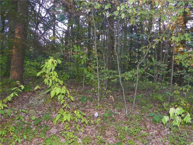 $20,000 | 0 Hickory Hill Road, Bath, NY 14810