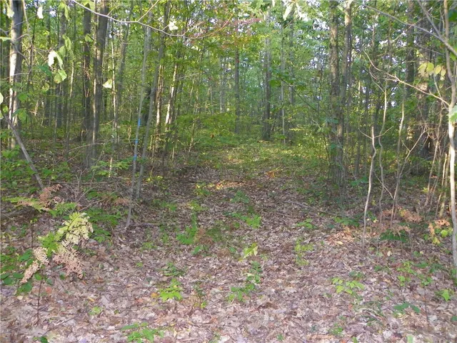 $20,000 | 0 Hickory Hill Road, Bath, NY 14810