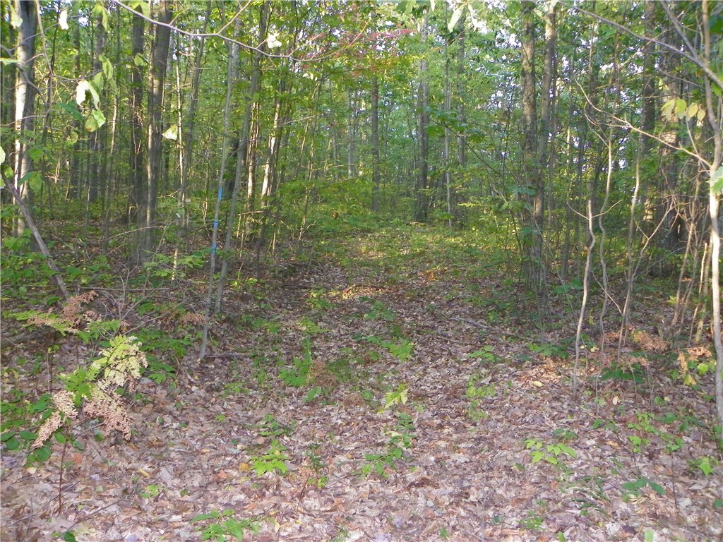 0 Hickory Hill Road Bath, NY 14810 - Photo 7 of 7